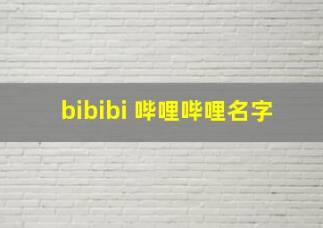 bibibi 哔哩哔哩名字